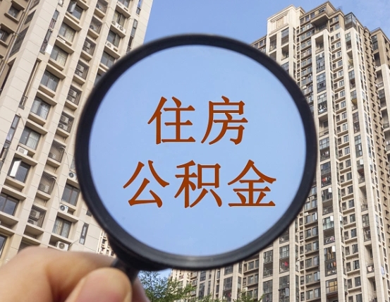 黄山退休后查不到公积金明细了吗（退休后公积金查询不到原因）